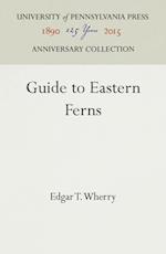 Guide to Eastern Ferns