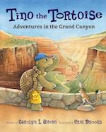 Tino the Tortoise