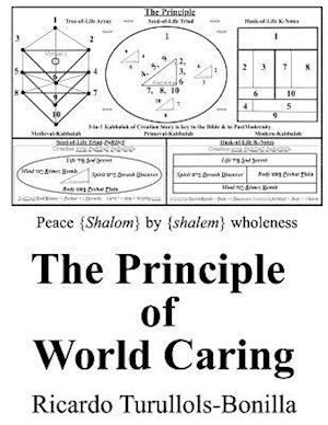 The Principle of World Caring