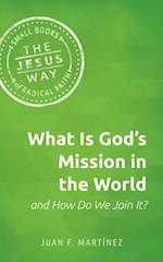 What Is God's Mission in the World and How Do We Join It?