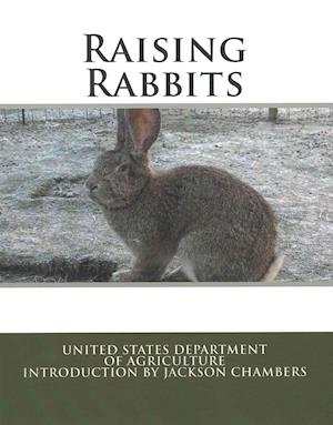 Raising Rabbits