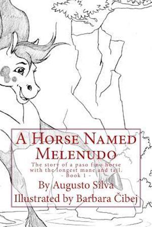 A Horse Named Melenudo
