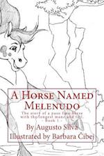 A Horse Named Melenudo