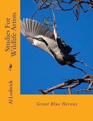 Great Blue Herons