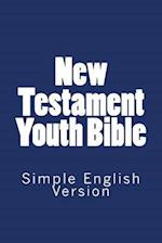 New Testament Youth Bible