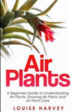 Air Plants: A Beginners Guide To Understanding Air Plants, Growing Air Plants and Air Plant Care (Booklet) 