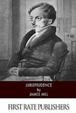 Jurisprudence