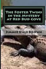 The Foster Twins in the Mystery at Redbud Cove