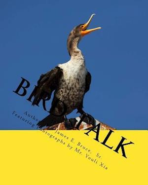 Bird Talk