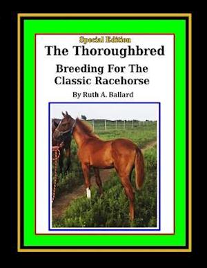The Thoroughbred Breeding for the Classic Racehorse