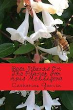 Best Plants on the Planet for APIs Mellifera