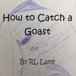 How to Catch a Goast