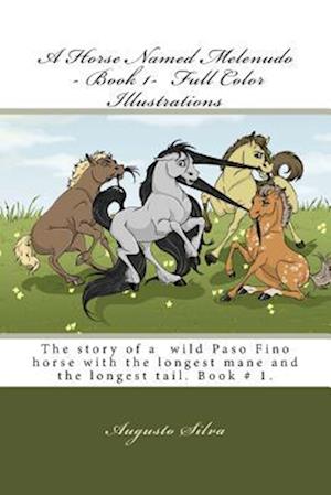 A Horse Named Melenudo - Book 1- Full Color Illustrations