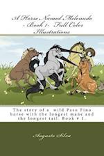 A Horse Named Melenudo - Book 1- Full Color Illustrations