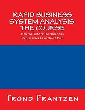 Rapid Business System Analysis