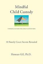Mindful Child Custody