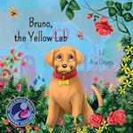 Bruno, the Yellow Lab