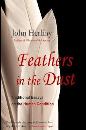 Feathers in the Dust