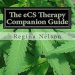 The Ecs Therapy Companion Guide