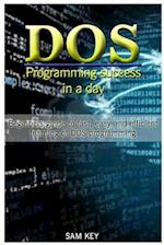 DOS Programming Success in a Day