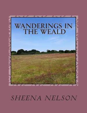 Wanderings in the Weald