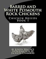 Barred and White Plymouth Rock Chickens