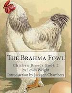 The Brahma Fowl