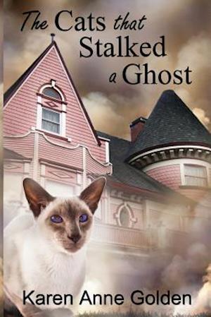 The Cats that Stalked a Ghost