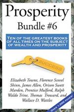 Prosperity Bundle #6