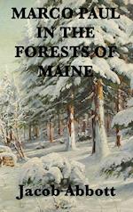 Marco Paul in the Forests of Maine