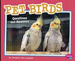 Pet Birds