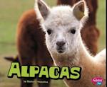 Alpacas