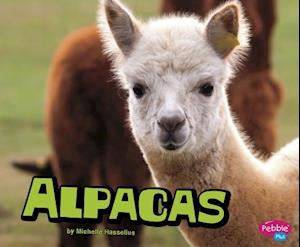 Alpacas