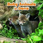Baby Animals in Dens