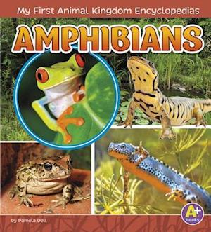 Amphibians