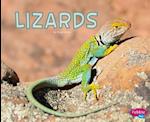 Lizards