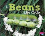 A Bean's Life Cycle