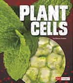 Plant Cells