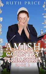 Amish Country Treasure 2