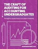 The Craft of Auditing for Accounting Undergraduates