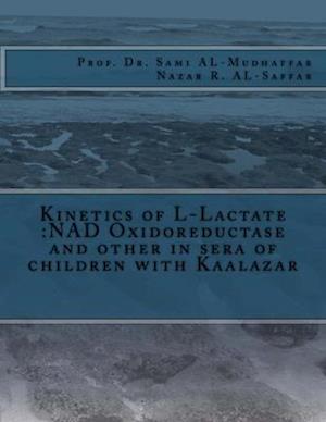 Kinetics of L-Lactate