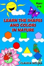 Learn the Shapes and Colors in Nature
