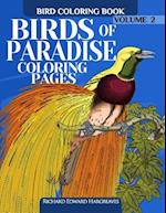 Birds of Paradise Coloring Pages - Bird Coloring Book