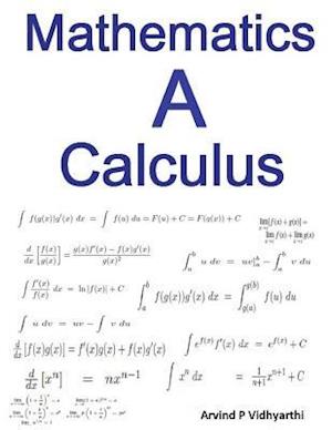 Mathematics a Calculus