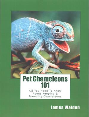 Pet Chameleons 101: All You Need To Know About Keeping & Breeding Chameleons
