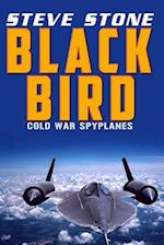 Blackbird Wrath: Cold War Spylanes 