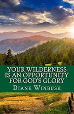 Your Wilderness Is an Opportunity for God's Glory