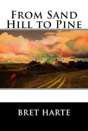 From Sand Hill to Pine