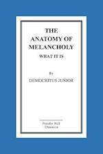 The Anatomy of Melancholy What It Is