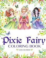 Pixie Fairy Coloring Book